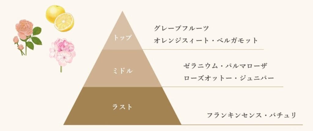 N organic Plenumの香り