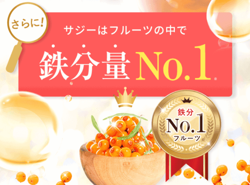 サジーの鉄分