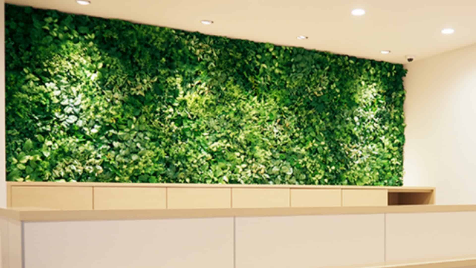 ZIPPER CLINIC熊本院