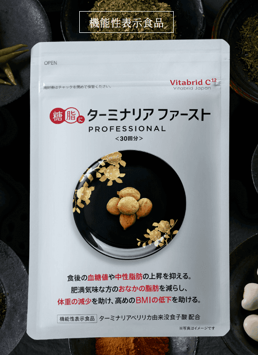 ターミナリアファースト