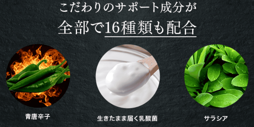 こだわりのサポート3大成分