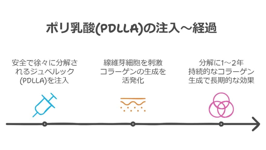 ポリ乳酸(PDLLA)の作用メカニズム