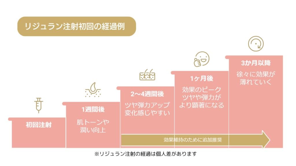 効果期間はいつからいつまで？リジュラン施術後の経過