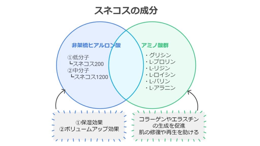 スネコスの主成分は「非架橋ヒアルロン酸」と「6種類のアミノ酸」