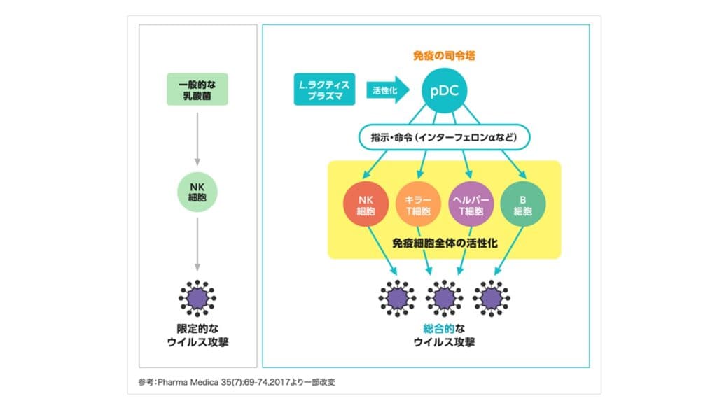イミューズプラズマ乳酸菌免疫ケアの注目成分は「プラズマ乳酸菌」