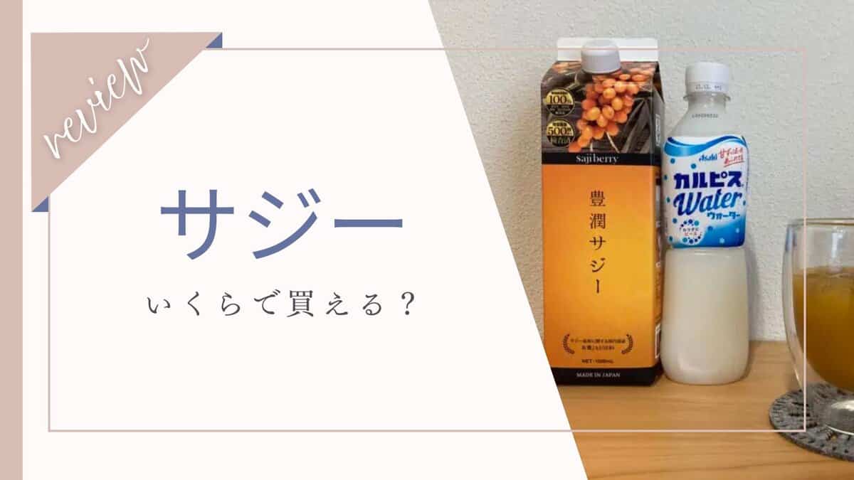 サジー値段