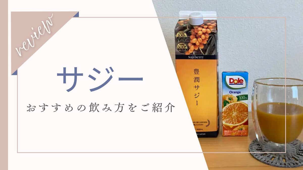 サジー飲み方