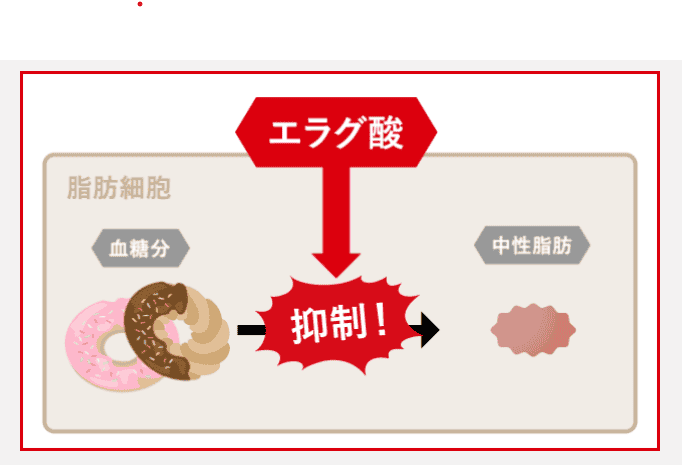 キラーバーナーⅡは「エラグ酸」配合