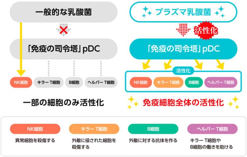 imuse(イミューズ)プラズマ乳酸菌免疫ケアは本当に効果ある?どんなサプリメント?