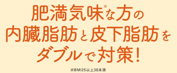 大正製薬おなかの脂肪が気になる方のタブレットは内臓脂肪と皮下脂肪ダブルで対策