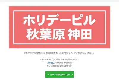 ホリデーピル 秋葉原 神田