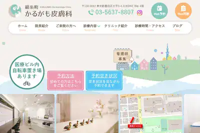 錦糸町かるがも皮膚科