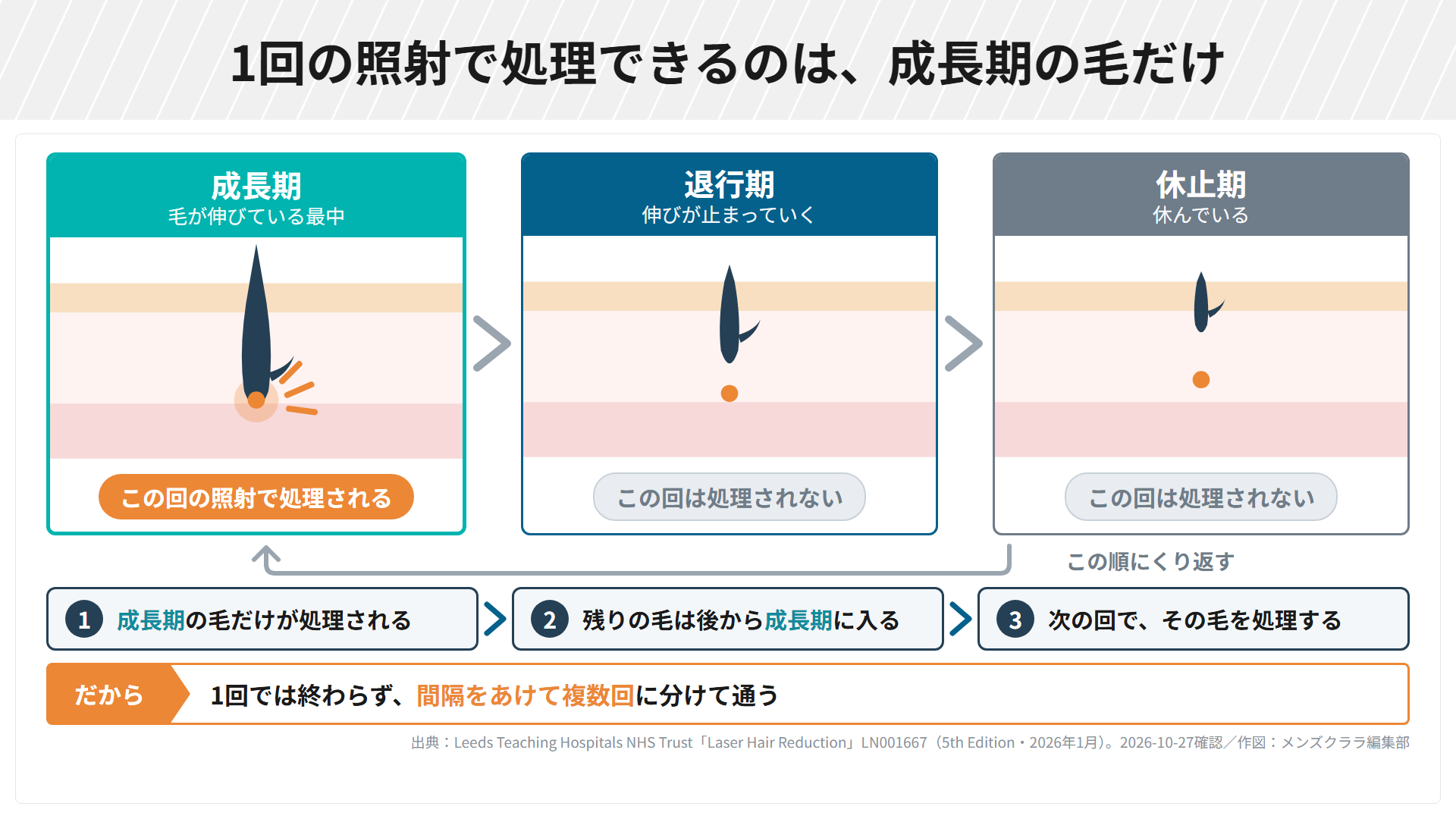 毛は成長期、退行期、休止期をくり返し、1回の照射で処理できるのは成長期の毛だけ。残りの毛は後から成長期に入り、次の回で処理されるため、1回では終わらず間隔をあけて複数回に分けて通う